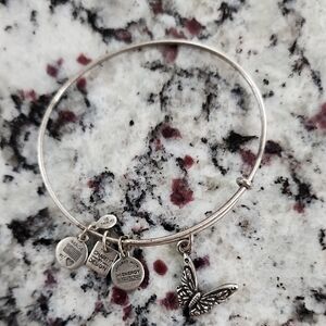Alexand Ani Silver Butterfly Charm Bracelet. Charity By Design